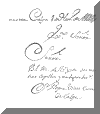 roque3.gif (11213 bytes)